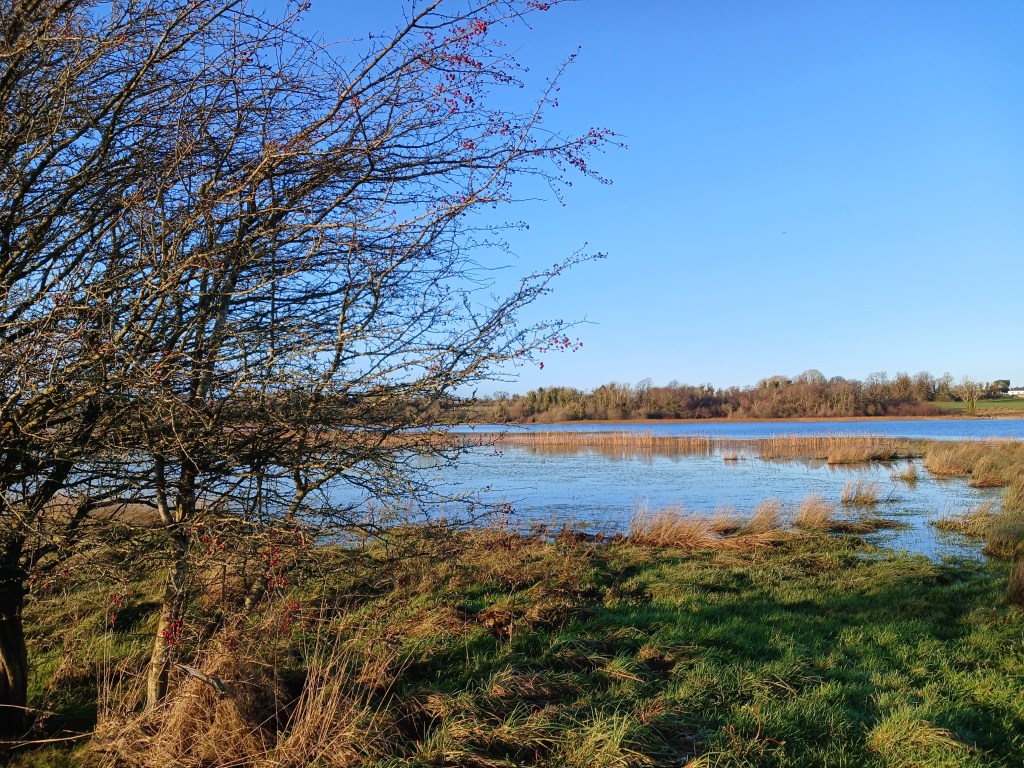 Fionnlocha biodiversity through the&nbsp;seasons